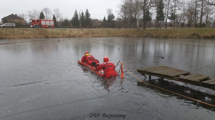 Strażacy z OSP Bojszowy uratowali sarnę uwięzioną na...