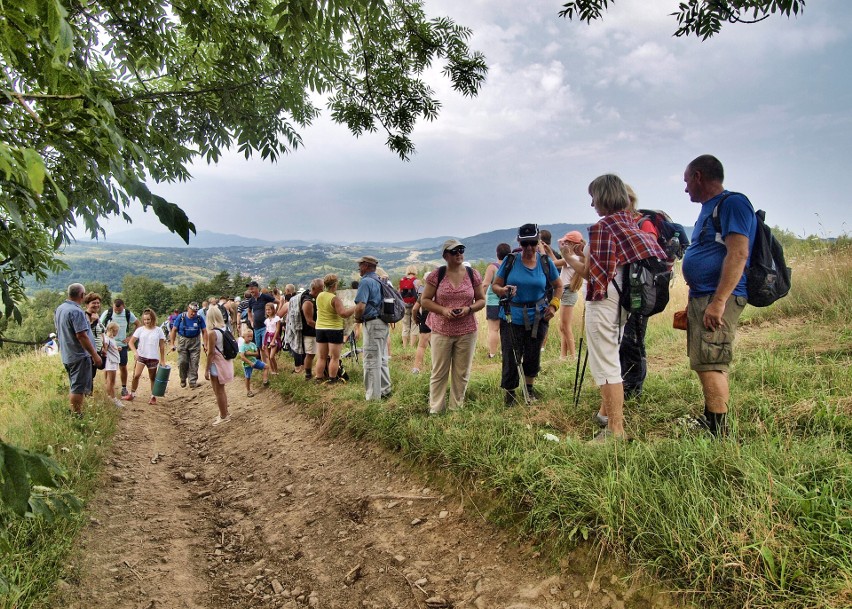 Odkryj Beskid Wyspowy. W niedzielny poranek wspięli się na Szczebel. Bardzo liczną grupę stanowili najmłodsi turyści [ZDJĘCIA]