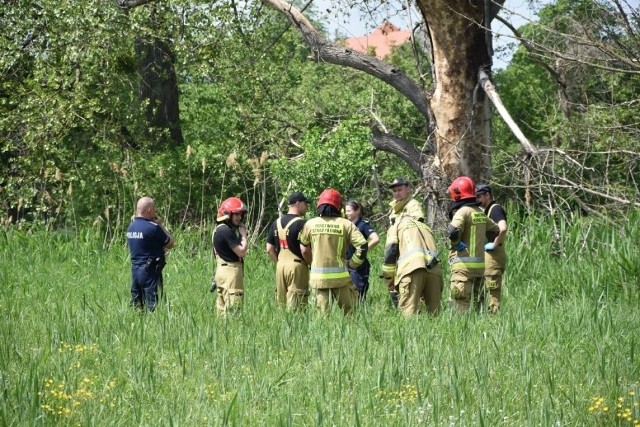 W piątek, 20 maja w rzece na wysokości Osiedla Berdychowo w Wągrowcu znaleziono ciało. Makabrycznego odkrycia, jak informuje Dominik Zieliński z policji, dokonali kajakarze.