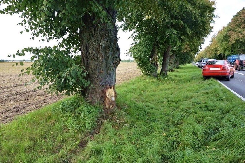 Biała Podlaska: 25-latka wypadła z drogi i uderzyła w drzewo. Z obrażeniami ciała trafiła do szpitala