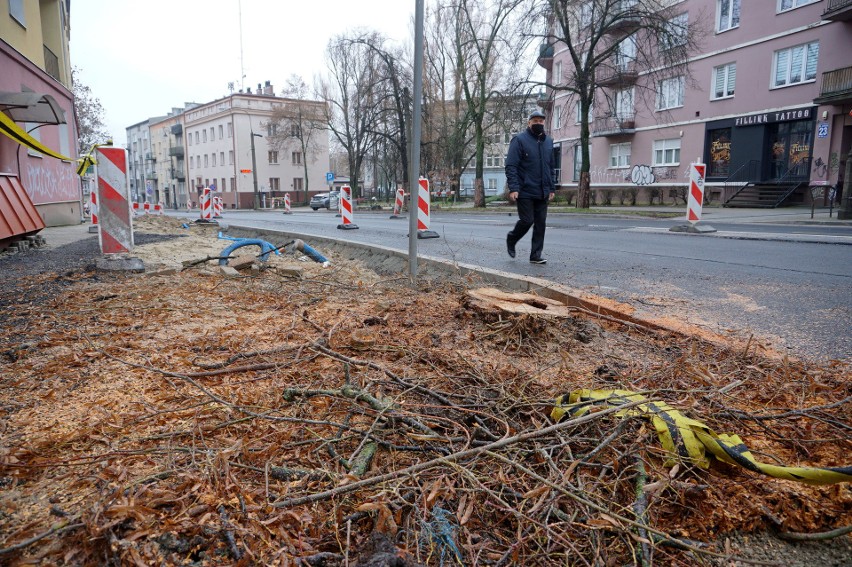 Dodatkowa wycinka drzew w centrum Lublina. Powód? Przebudowa Al. Racławickich i ul. Lipowej