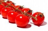 Jak uprawiać pomidory? Od nasionka po pierwszy owoc