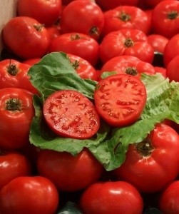 Jak hodować pomidory? Od nasionka po pierwszy owoc...