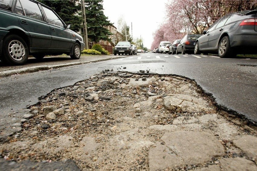 Wiosną na trawnikach kwitną krokusy, a na drogach... straszą...