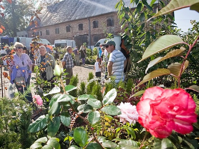 Targi ogrodnicze w Strzelinie - październik 2011