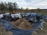 Ktoś wyrzucił odpady chemiczne w gminie Niemce. Nagrodę za pomoc w odnalezieniu sprawcy podwyższono do 25 tys. zł 