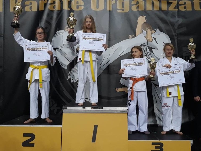 Międzynarodowy Turniej Karate Carpathia Cup w Rzeszowie. Medale sandomierskich karateków (ZDJĘCIA Z TURNIEJU)