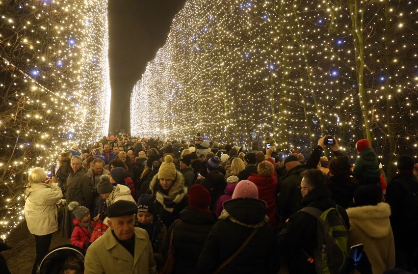 Iluminacje w Parku Oliwskim