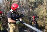 Strażacy z powiatu sławieńskiego pomagali gasić pożary we Francji