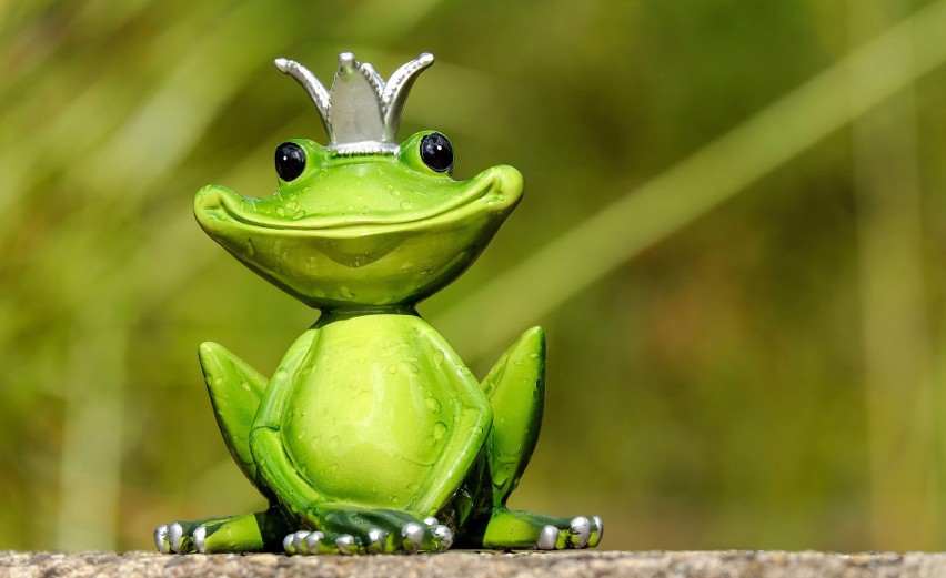 Taka żaba inaczej nazywana żabą pieniężną lub żabą bogactwa....