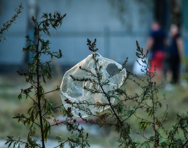 Powodów, by pożegnać tzw. zrywki jest aż nadto. Niedługo będzie je można zastąpić wielorazowymi, materiałowymi woreczkami ze starych firan.