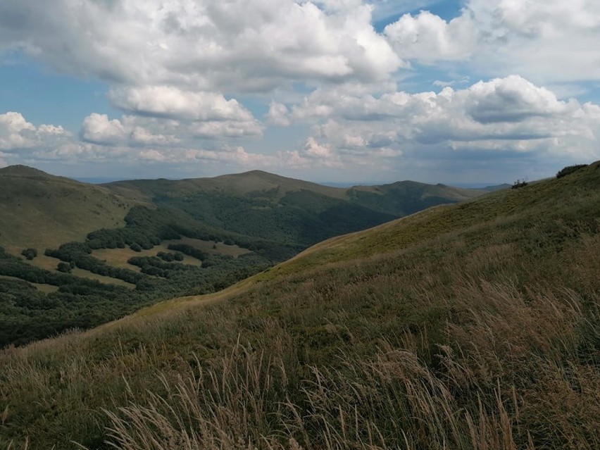 A gdyby tak rzucić wszystko i wyjechać w Bieszczady? Na...