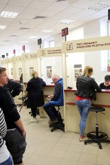 Od początku roku w Małopolsce przyjęto przeszło 230 tys. wniosków paszportowych. W sobotę - 3 grudnia - kolejna "Sobota paszportowa"