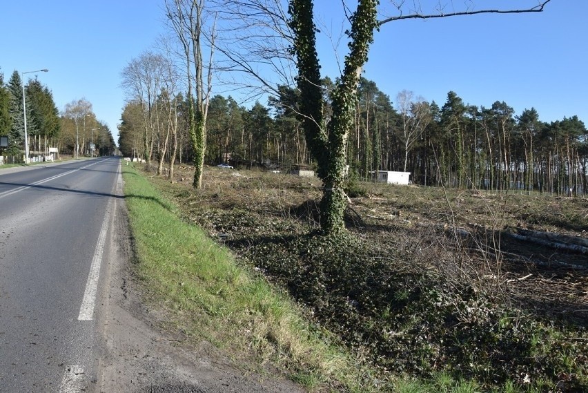 W tym miejscu nad jeziorem Sławskim staną nowe domki...