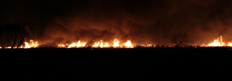 Wielki pożar nieużytków pod Czerwieńskiem