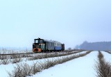 Na trasę z Rogowa do Jeżowa wracają zimowe pociągi wąskotorowe. Z przejażdżek będzie można korzystać w ferie