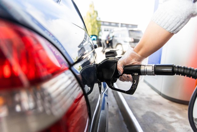 Średnie ceny paliw kształtują się obecnie na poziomie: dla benzyny bezołowiowej 95 – 7,00 zł/l, bezołowiowej 98 – 7,74 zł/l, oleju napędowego 7,26 zł/l, autogazu 3,30 zł/l.