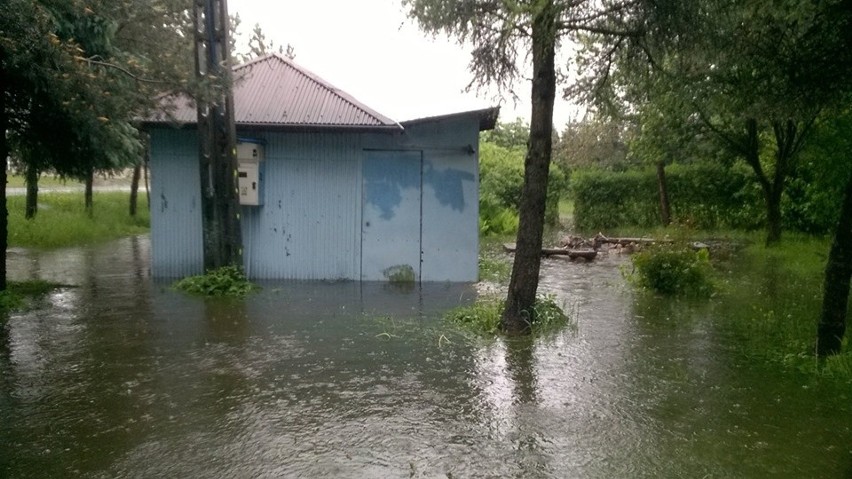 Chrzanów. Wezbrana woda w stawie w Kościelcu. Ryby trafiły na ulicę [ZDJĘCIA]