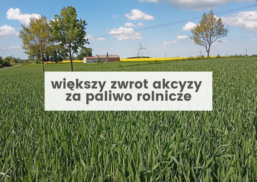 Procedowany jest już projekt ustawy, który zakłada...