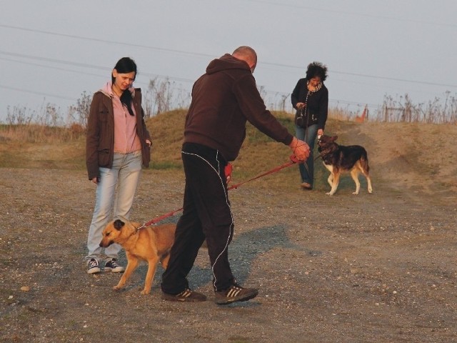 Pierwsze zajęcia ze szkolenia psów w Orzechowcach. Uczestnicy warsztatów uczą się pod okiem trenera Marka Leitnera.
