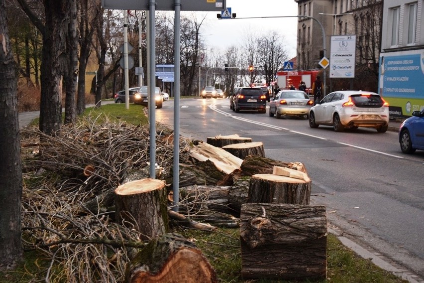 Wiatr złamał drzewo w Bielsku-Białej, spadło na samochód i autobus