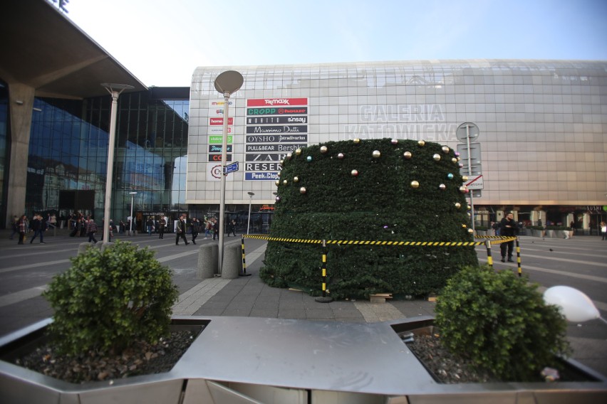 Katowice: stawiają choinkę na placu Szewczyka ZDJĘCIA