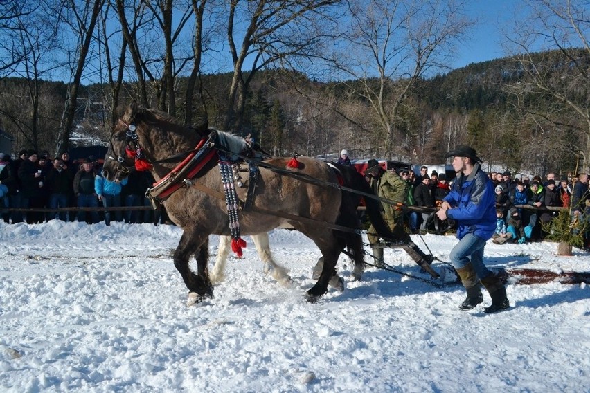 Zawody Furmanów 2017 w Węgierskiej Górce