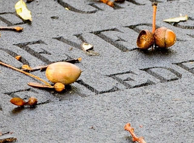 Paweł Poświat nie żyje. Śmierć w Afganistanie. Zginął polski żołnierz