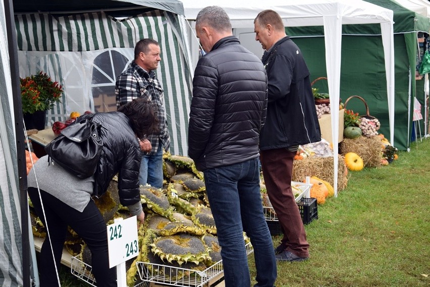 Targi Rolne w Barzkowicach. Można skorzystać z oferty ponad 900 wystawców [zdjęcia, wideo]