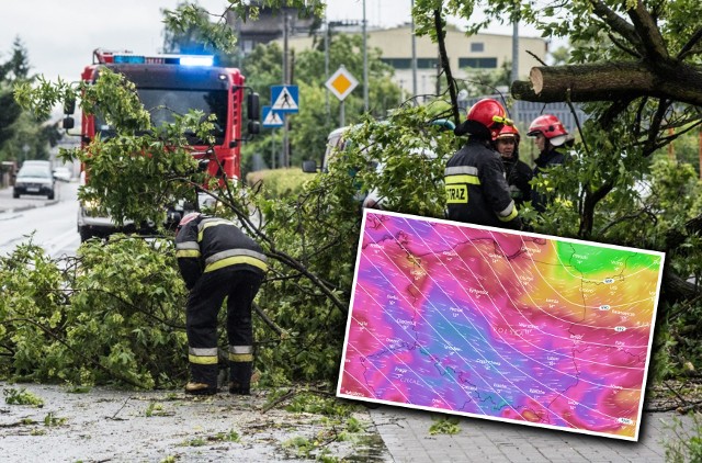 Niż Mortimer przyniesie silne porywy wiatru w poniedziałek, 30 września - ostrzega IMGW.