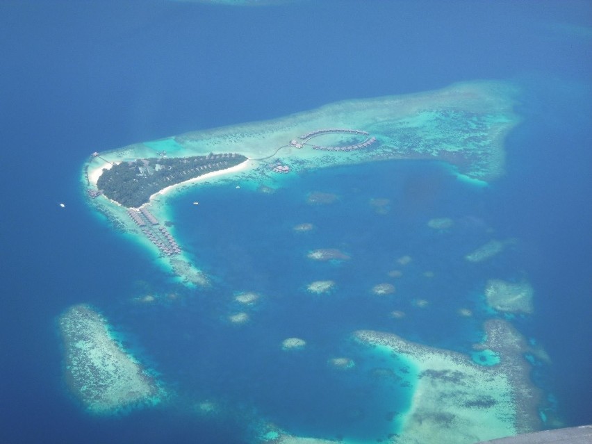 Prof. Andrzej Tretyn spędza urlop na Malediwach na Oceanie...