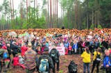 Stu pilarzy nie wytnie tylu drzew w ciągu dnia, co jeden harvester