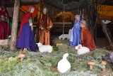 Szopka w Opolu Szczepanowicach. Zobacz, jak wygląda szopka w parafii św. Józefa na święta Bożego Narodzenia