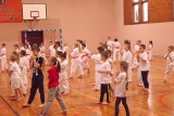 Egzaminy karate w Golubiu-Dobrzyniu. Zobacz zdjęcia