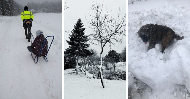 Drogowcy i piesi muszą szczególnie uważać na panujące warunki atmosferyczne. Strażacy mają pełne ręce roboty, a najmłodsi wielki powód do radości. Wreszcie na Pomorzu mamy zimę z prawdziwego zdarzenia. KLIKNIJ W GALERIĘ I ZOBACZ ZIMĘ 2021 NA POMORZU NA ZDJĘCIACH CZYTELNIKÓW >>>