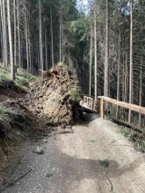 Wiatr w Tatrach osłabł. Główne szlaki zostały udrożnione. TPN jednak przestrzega przed wyprawami w góry