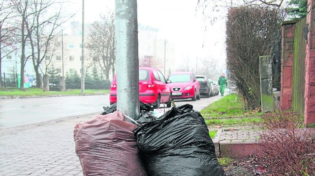 Problemy z nieopróżnionymi koszami na śmieci na kieleckich ulicach pojawiły się na początku grudnia. Niektórzy mieszkańcy, tak jak na ulicy Wojska Polskiego, śmieci zostawiali także w workach.