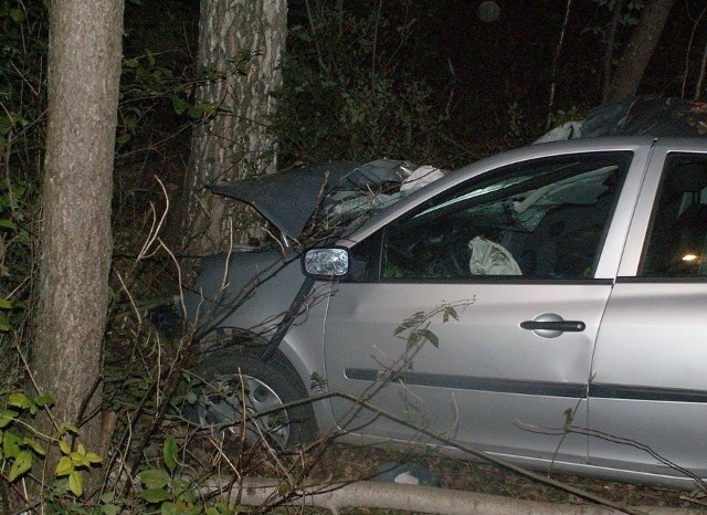 Clio uderzyło w drzewo