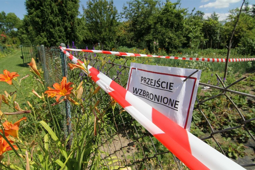 Buldożery likwidują ogródki działkowe "Bażant" na Psim Polu....