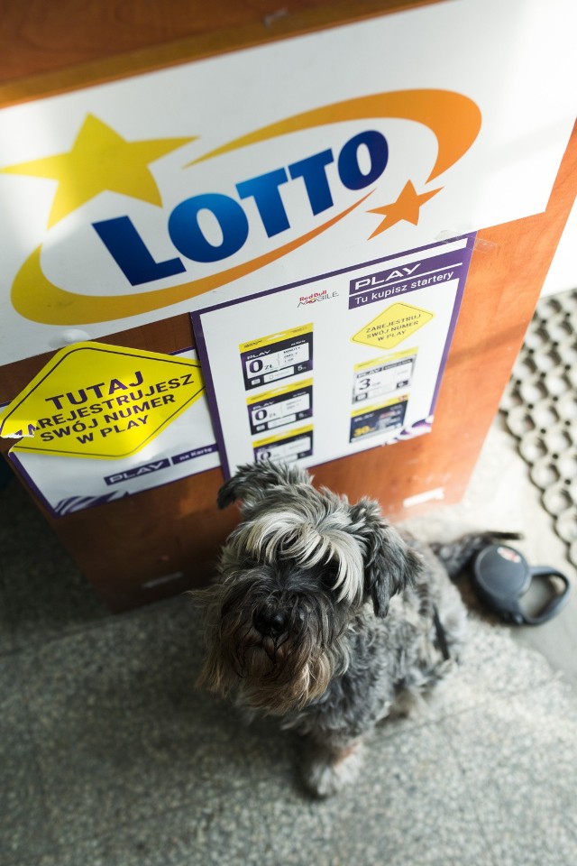 Losowanie Lotto 17.05.2018. Wyniki Lotto 17 maja kumulacja 4 mln zł (WYNIKI LOTTO, LOSOWANIE LOTTO, KUMULACJA)