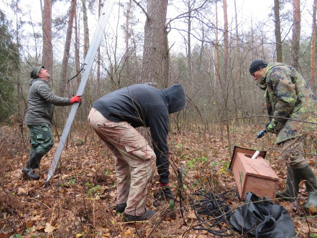 31 budek lęgowych dla puszczyków i puszczyków uralskich społecznicy zawiesili w lasach powiatów leżajskiego, niżańskiego i łańcuckiego.