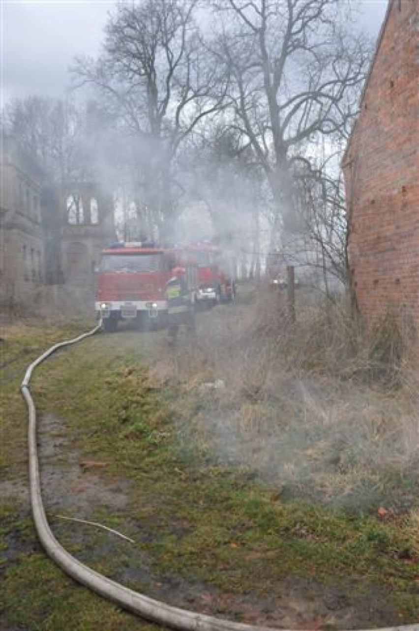 Pożar w Osieku: Strażacy gasili starą chlewnię