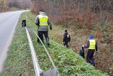 Cykliści z Suchedniowa zebrali górę śmieci na pięknym wzgórzu Barbarka. Śmiecą kierowcy i mieszkańcy