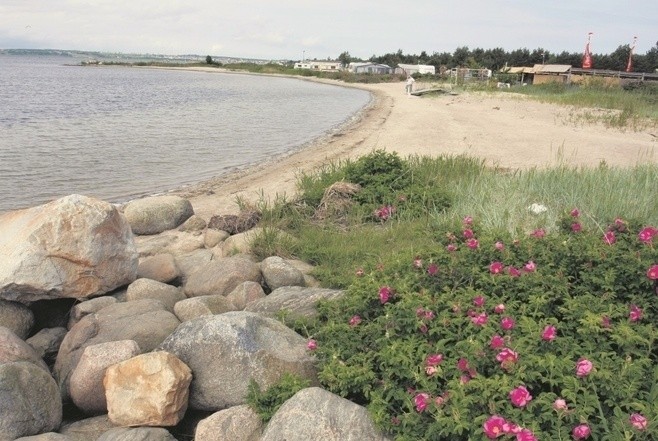 Kolejne nielegalne nasypywanie plaży na Półwyspie Helskim. Policja zatrzymała wywrotki z piaskiem