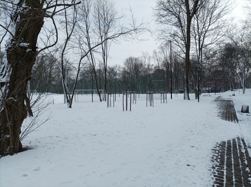 Park Zamkowy okrył się białym puchem. Przy zimowej aurze...