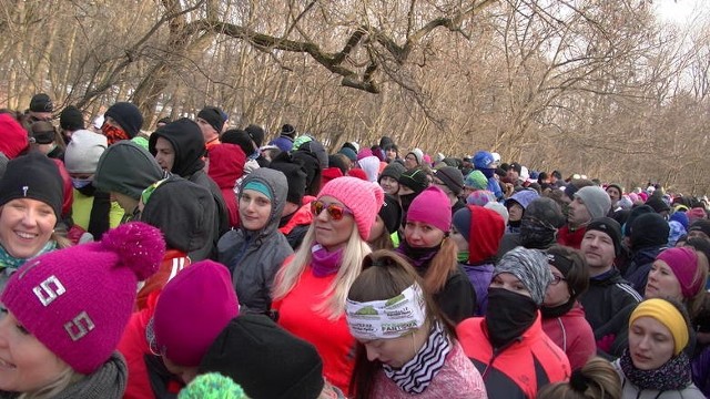 Tłumy biegaczy na Cytadeli w Poznaniu