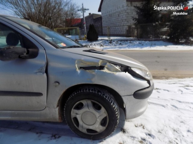 Kolizja Ogorzelnik