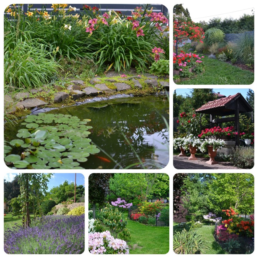 Ogród Krystyny Dubas, zwyciężczyni w konkursie Mój Ogród
