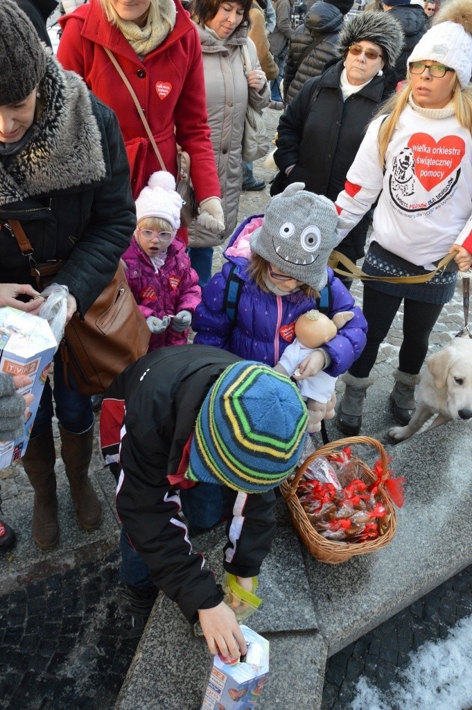 24. Finał WOŚP we Wrocławiu. Kwestują właściciele psów rasy...