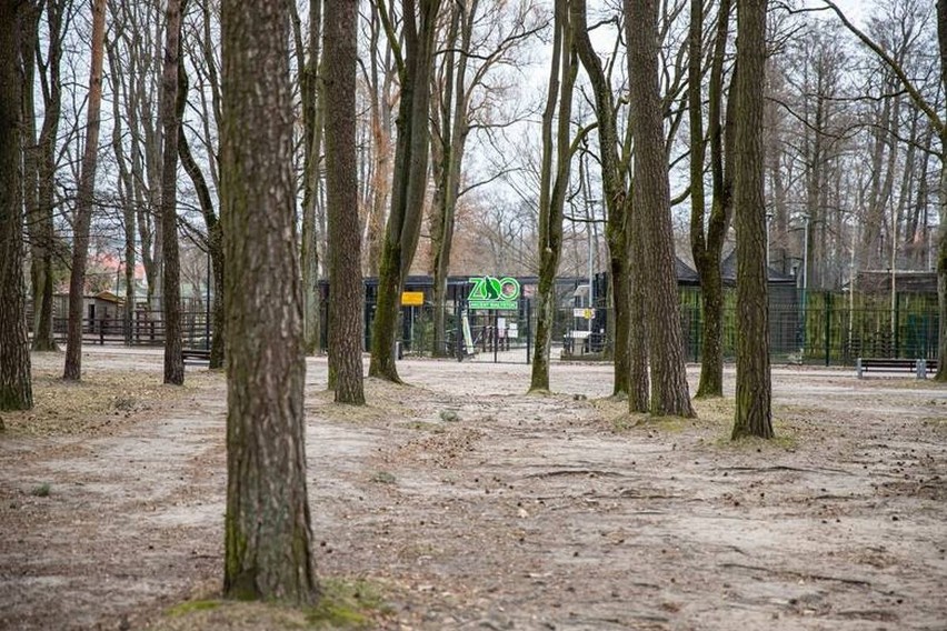 Od 20 kwietnia otwarte są parki i lasy, wobec tego można...